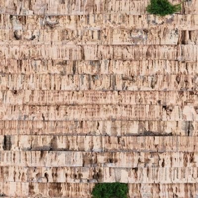 Cork Bark